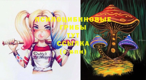 прущая мука Кулебаки